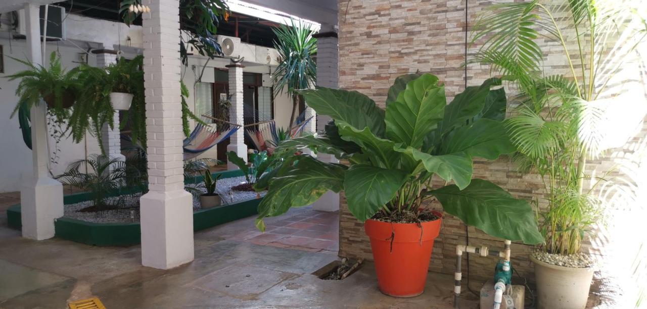 Hotel Aldea Pura Vida Πουνταρένας Εξωτερικό φωτογραφία