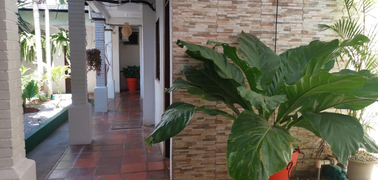 Hotel Aldea Pura Vida Πουνταρένας Εξωτερικό φωτογραφία